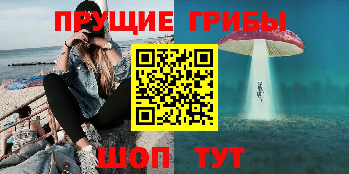 Петропавловск-Камчатский  Псилоцибиновые грибы Cubensis  Псилоцибиновые грибы мицелий  Вход с VPN 